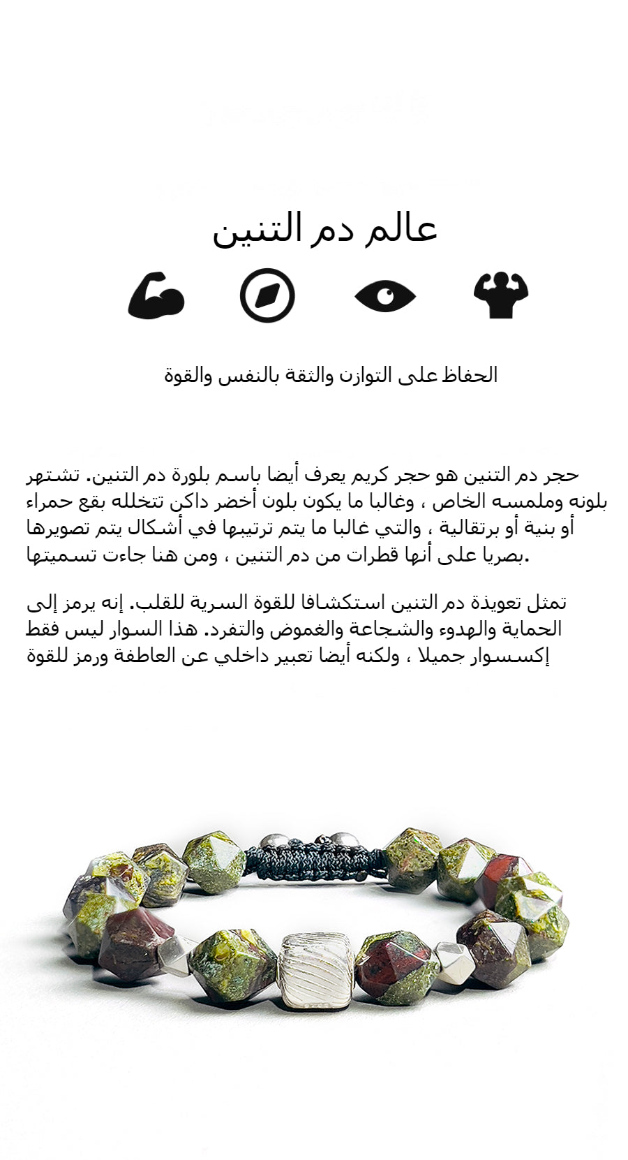 سوار خارطة السحر