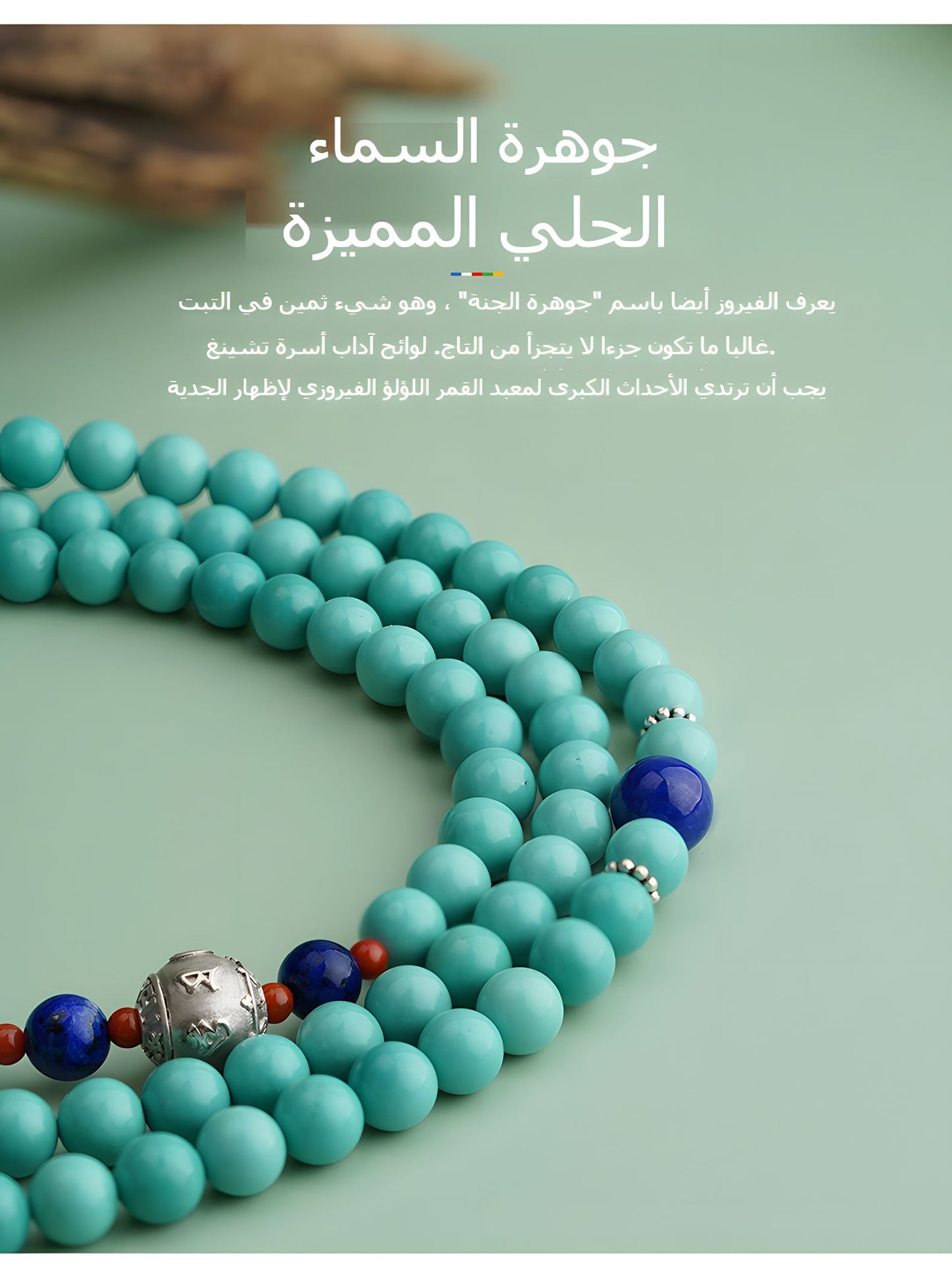 سِوار الزكروت من بوتالاغونغ