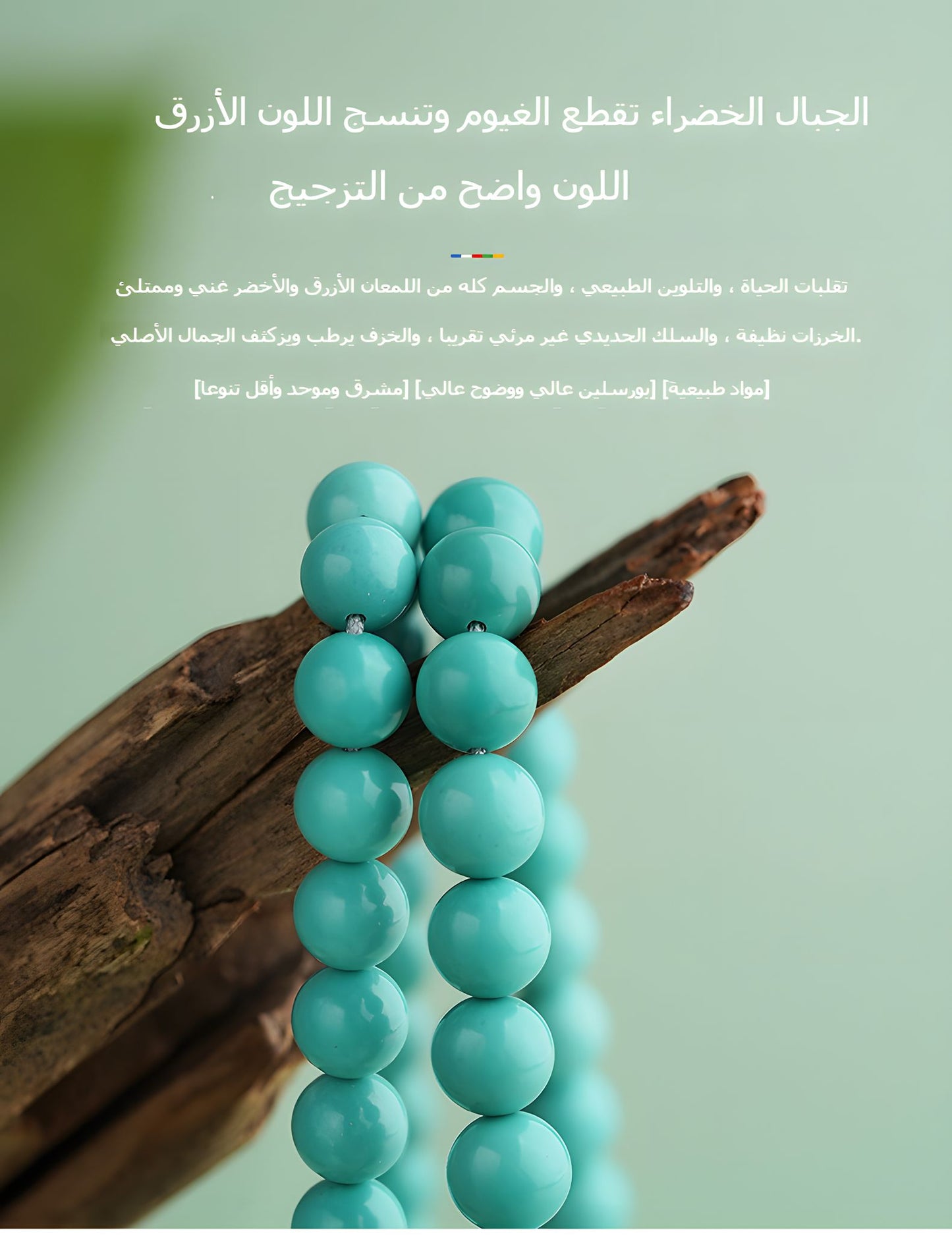 سِوار الزكروت من بوتالاغونغ