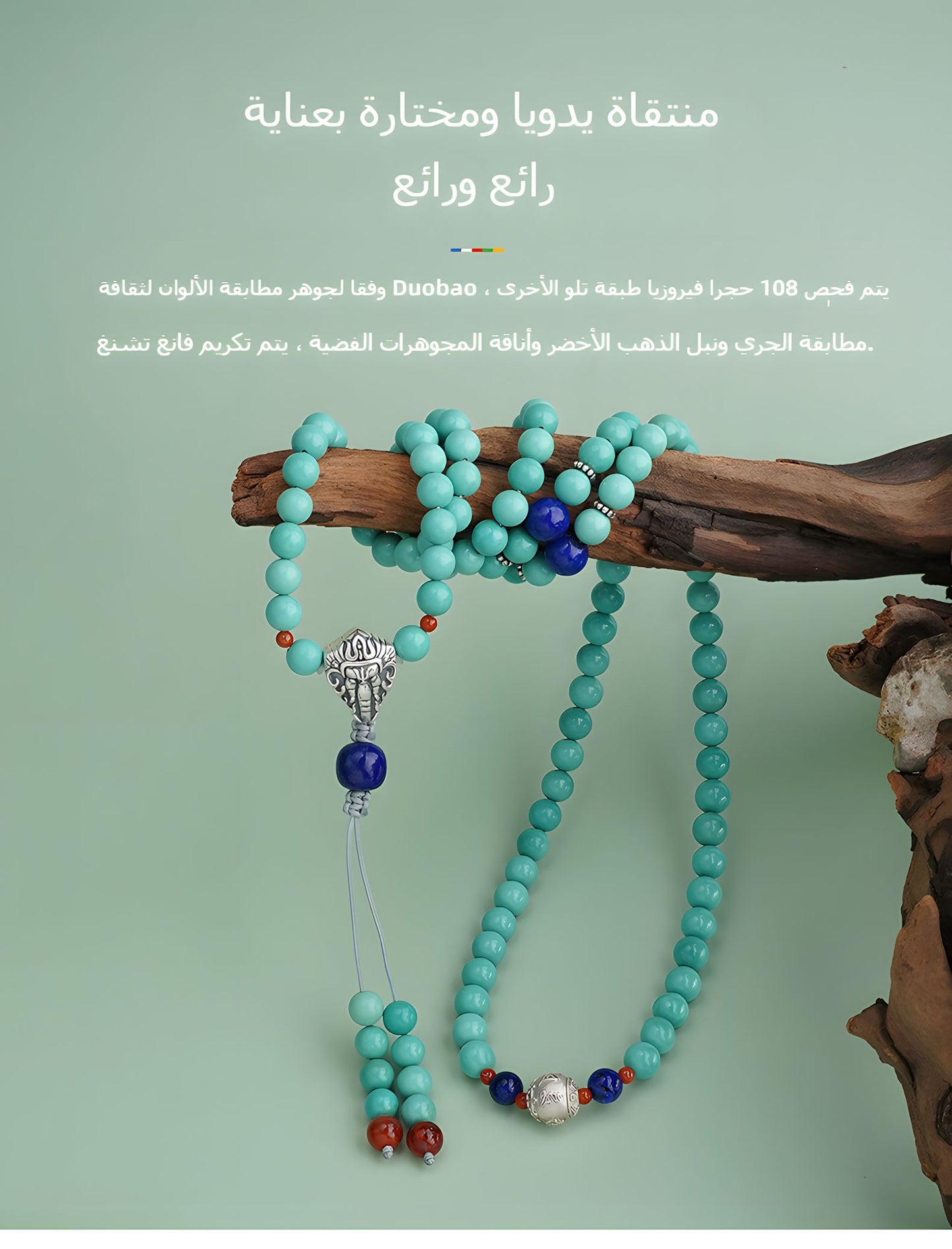سِوار الزكروت من بوتالاغونغ